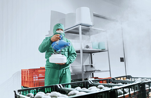 Productos de alta calidad en Marlet Productos de alta calidad en Marlet